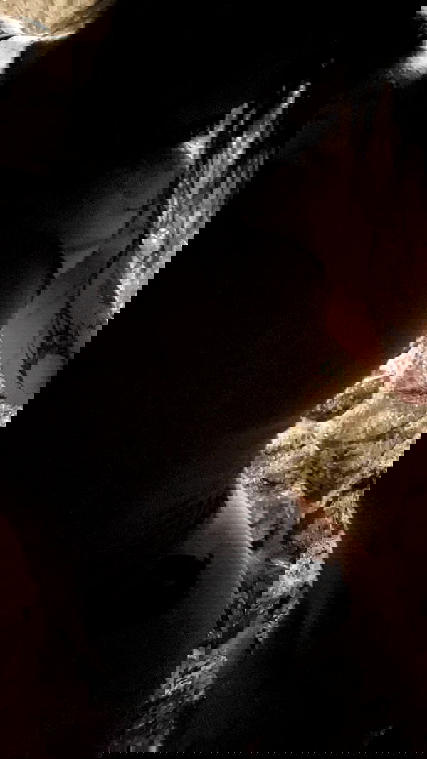 zommmbri zommmbri archive image