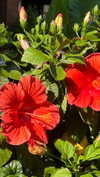 lea.weinberg_ Altpins Profile Picture