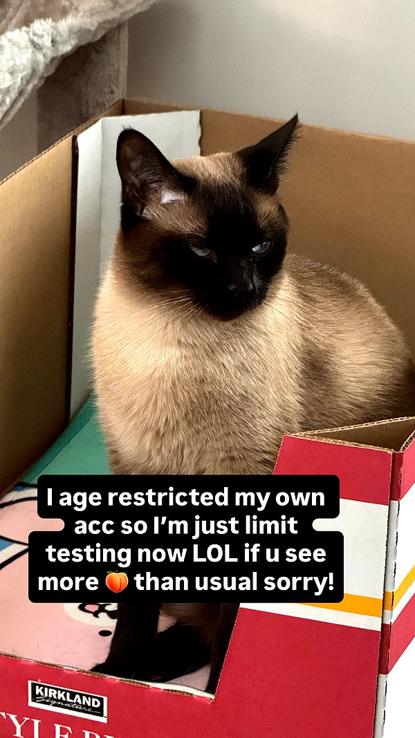 sugarcoatedkiss instagram image archive image