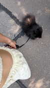 katrina.zaiceva Altpins Profile Picture