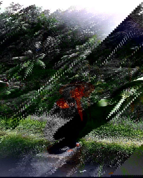 kkulakovaa image ~ Altpins