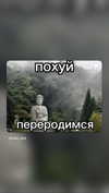 dina_shrago Altpins Profile Picture