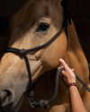 levsave Altpins Profile Picture