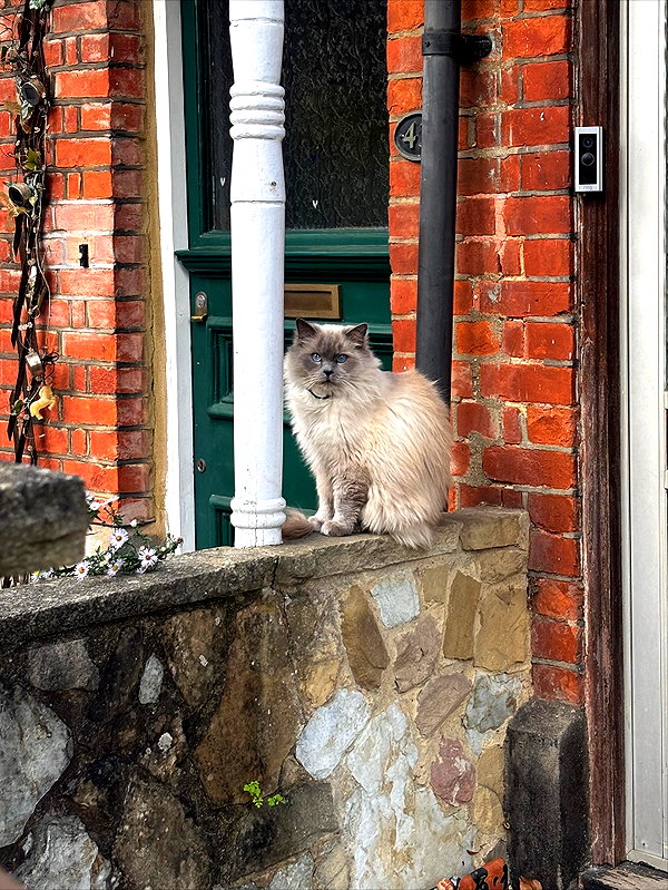 mollieruck instagram image archive image