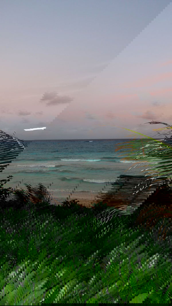 taylor.creeden taylor.creeden archive image