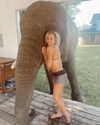 ellianawalmsley Altpins Profile Picture