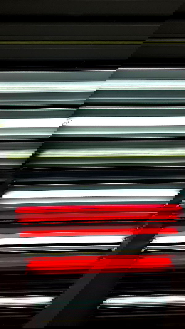 taylor.creeden taylor.creeden archive image