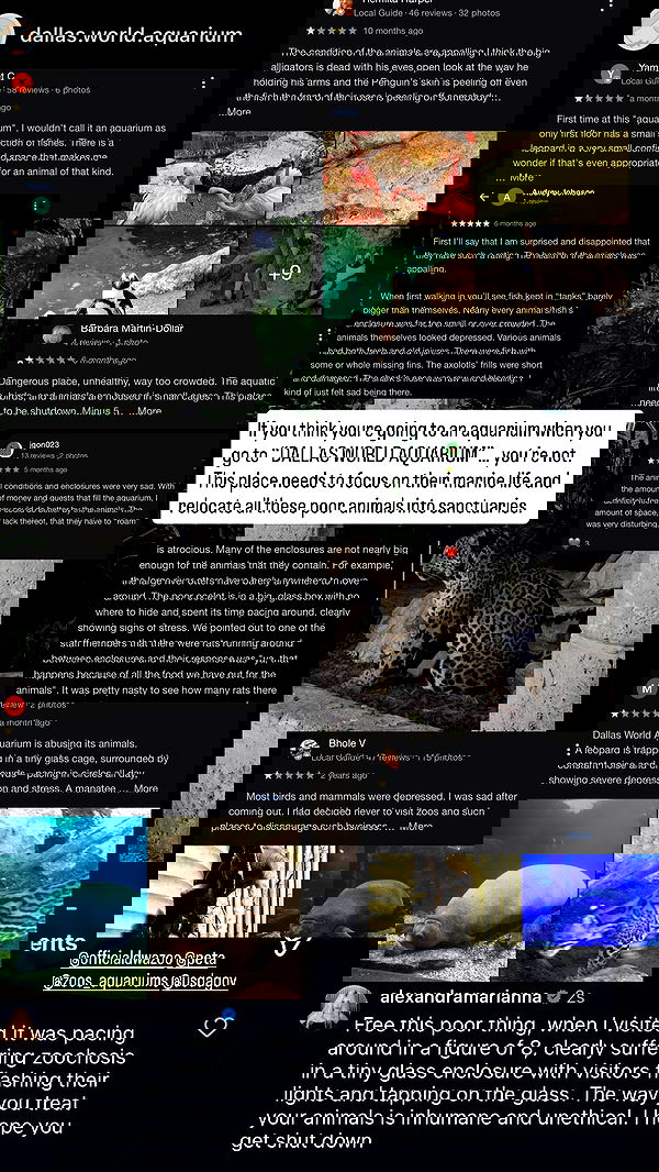 alexandramarianna alexandramarianna archive image