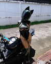 bigcatmia_dream Altpins Profile Picture
