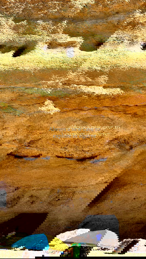 taylor.creeden taylor.creeden archive image