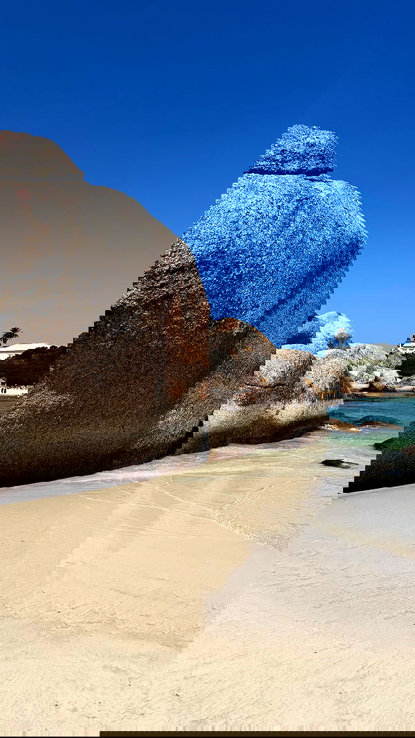 taylor.creeden taylor.creeden archive image