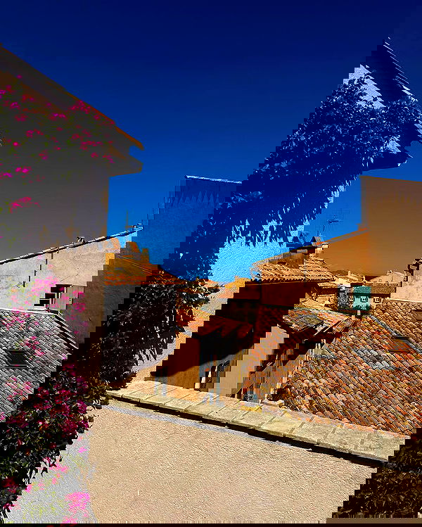 taylor.creeden taylor.creeden archive image