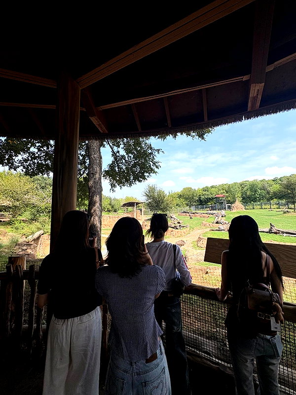 zuhazana instagram image archive image