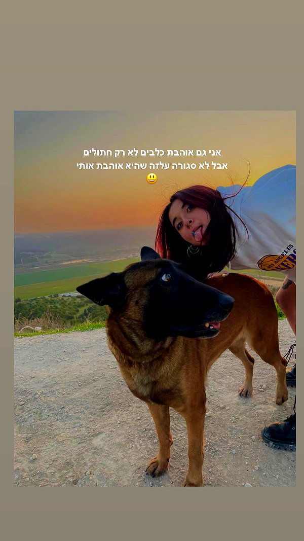 shaharo__._ instagram image archive image