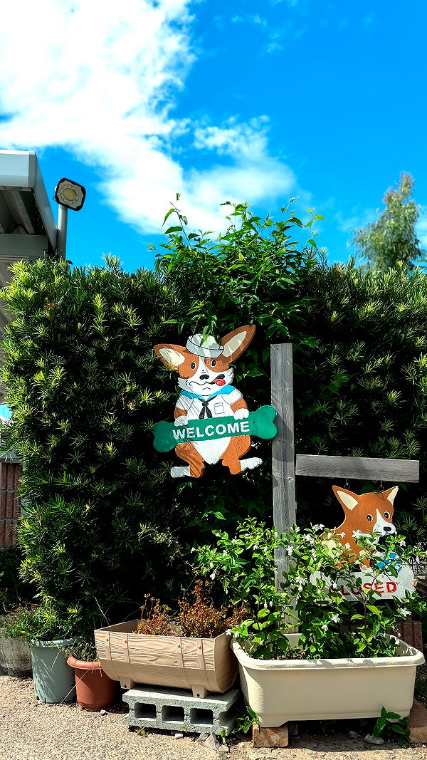 nanasemeron instagram image archive image