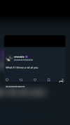 dina_shrago Altpins Profile Picture