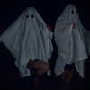 scarlett_ichor Altpins Profile Picture