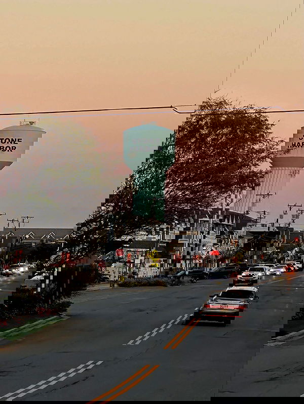 taylor.creeden taylor.creeden archive image