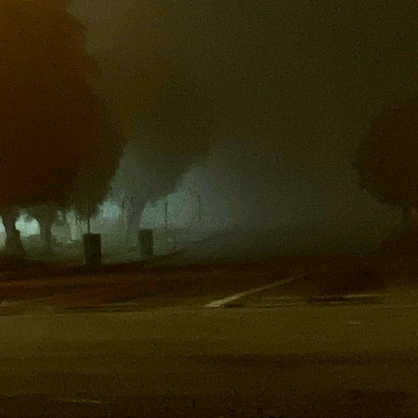 haileylayfield instagram image archive image