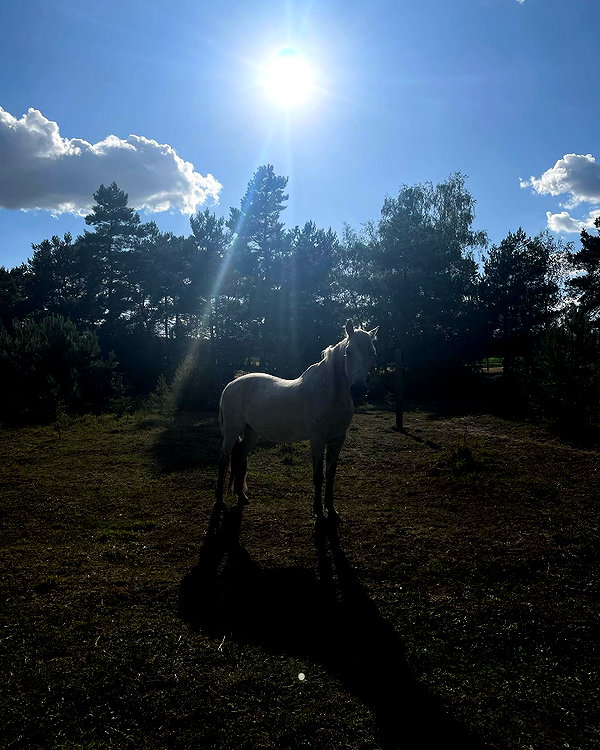 ninastodden instagram image archive image