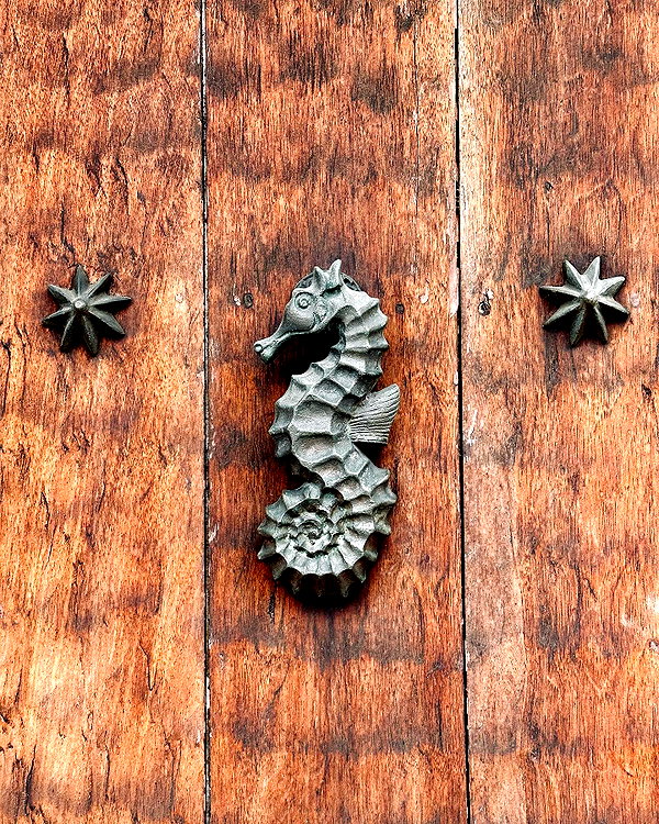 shulunc instagram image archive image