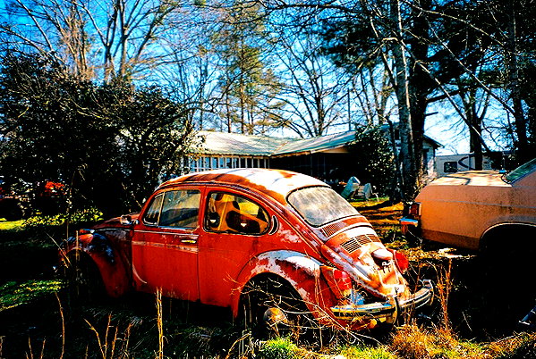 bugz4brainz instagram image archive image