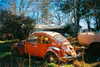 bugz4brainz Altpins Profile Picture