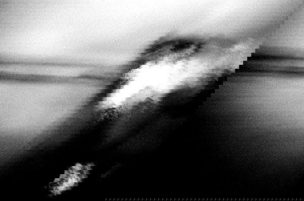 ting851204 ting851204 archive image