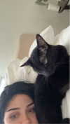 little.warren_ Altpins Profile Picture