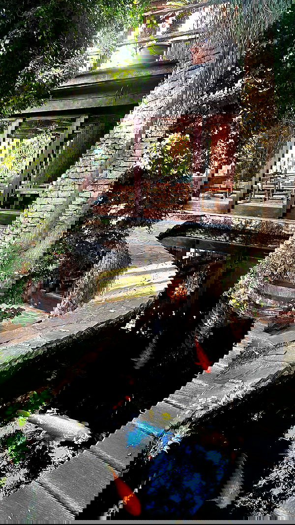 taylor.creeden taylor.creeden archive image