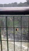 maori_cohen Altpins Profile Picture