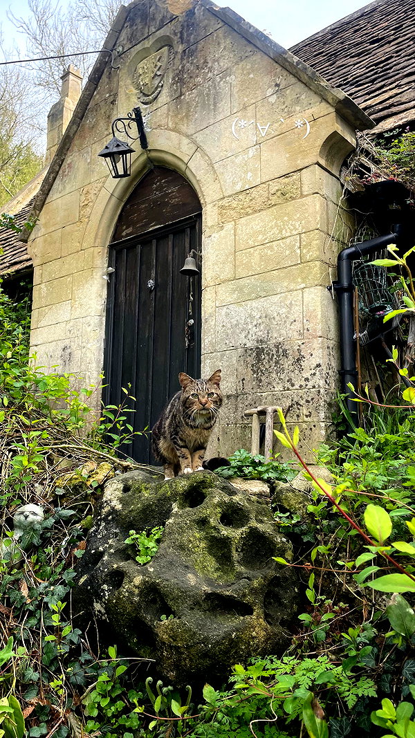 mollieruck instagram image archive image