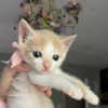 livia._.paige Altpins Profile Picture