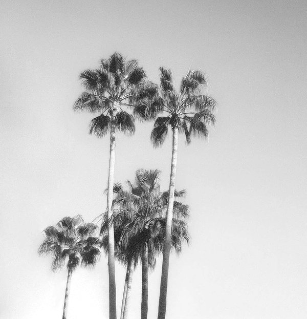 zoeliss instagram image archive image