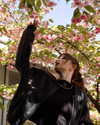 gritsa.k Altpins Profile Picture