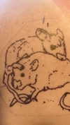 babynympho_archive Altpins Profile Picture