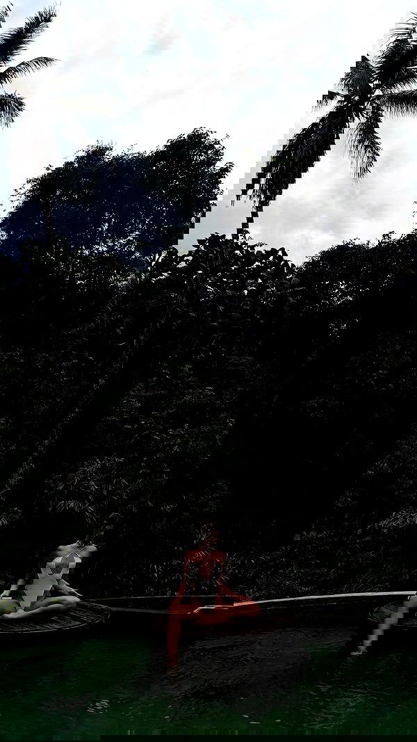 taylor.creeden taylor.creeden archive image