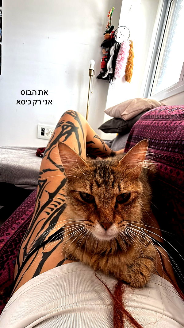 shaharo__._ instagram image archive image