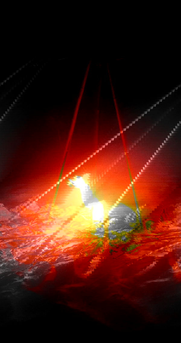 noyaislilith333 noyaislilith333 archive image