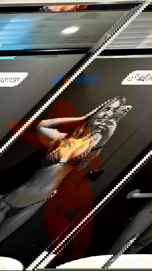 iambohema.v2 iambohema.v2 archive image