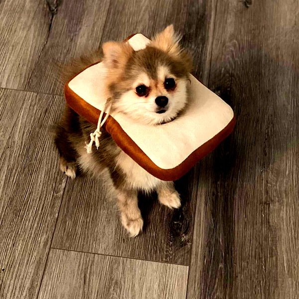 sssniperwolf instagram image archive image