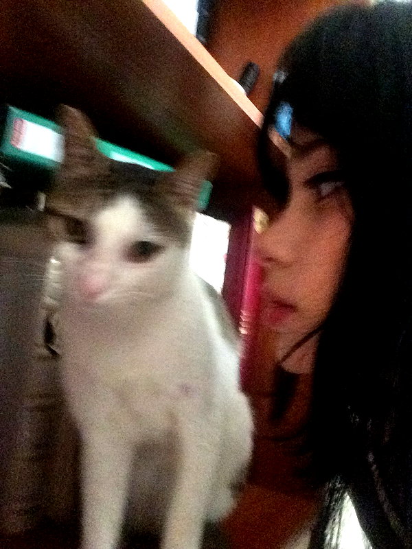 moonliliaght instagram image archive image