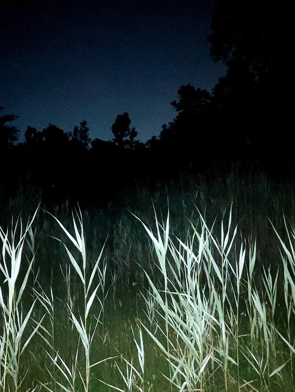 kimberr_0000 instagram image archive image