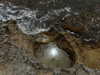 anesa.zm Altpins Profile Picture