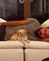 katehudson Altpins Profile Picture