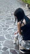 alessiadidntwakeup Altpins Profile Picture