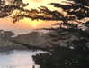 nicolekidman Altpins Profile Picture