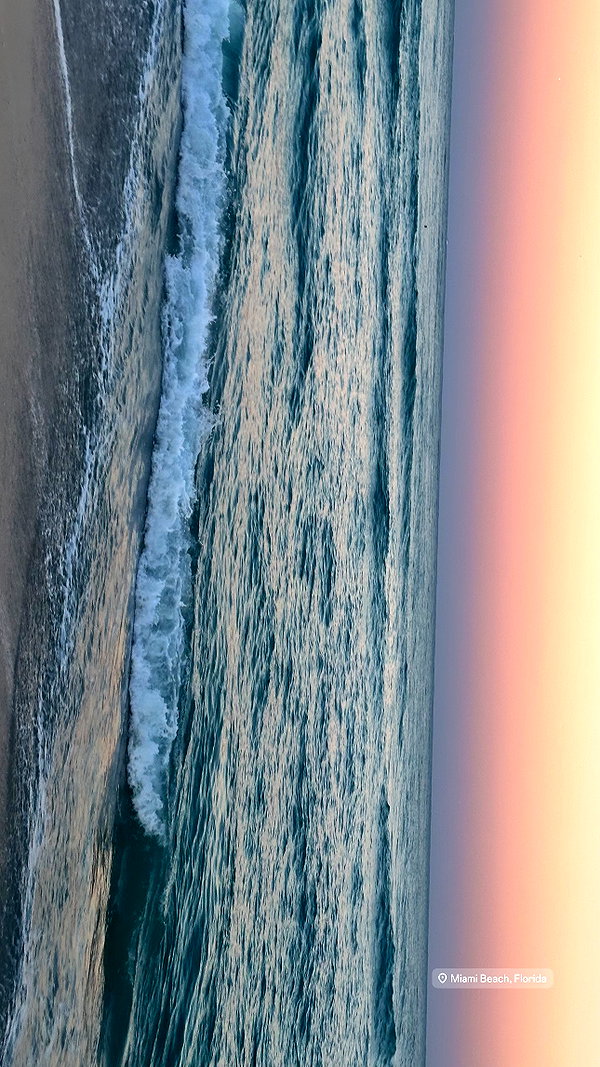elizabethcampbelljones instagram image archive image