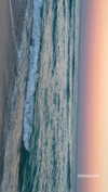 elizabethcampbelljones Altpins Profile Picture