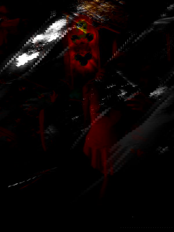 leonabeonaa image ~ Altpins